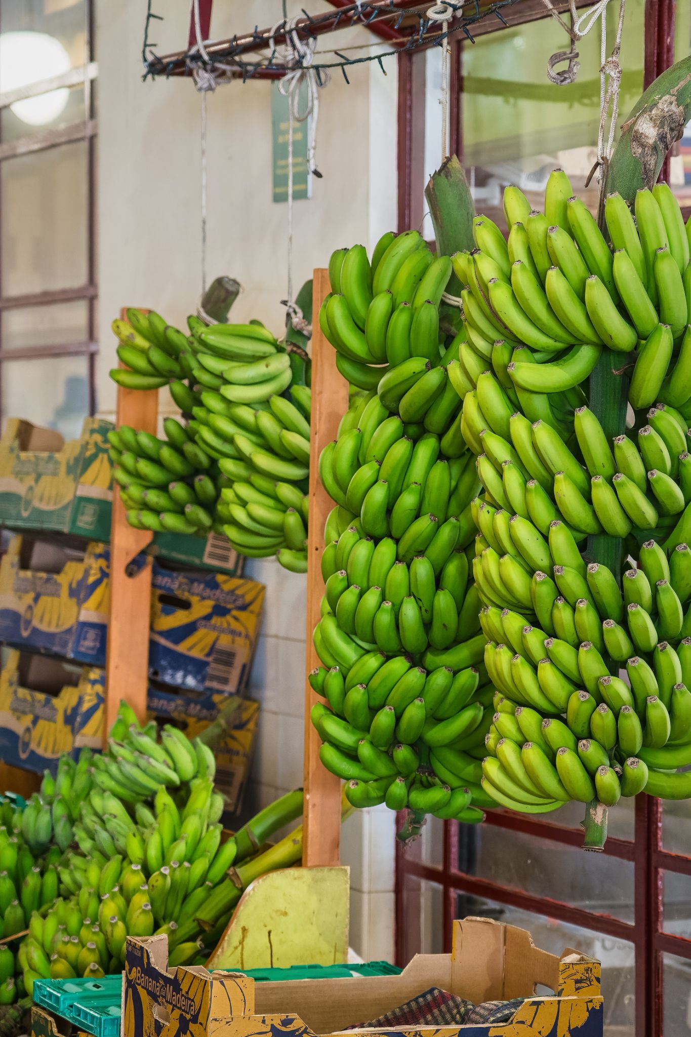 Mercado dos Lavradores